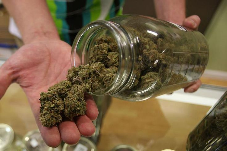 Dr. Pimple Popper Pulls 'Weed' From a Blackhead