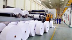Gov’t reveals plans to venture into paper industry