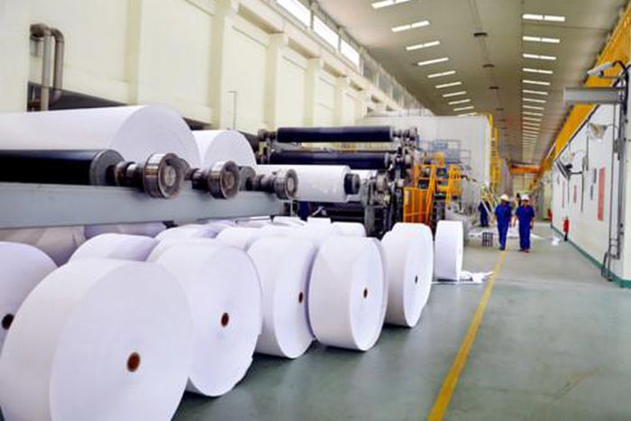 Gov’t reveals plans to venture into paper industry