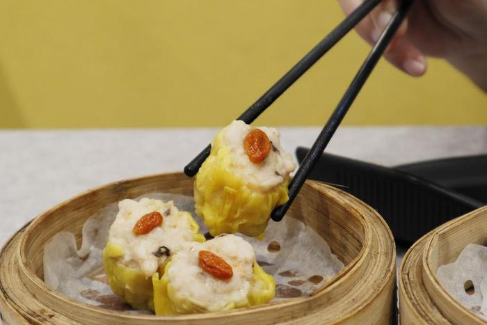 Dr. Pimple Popper Breaks Open This 'Shumai' Cyst