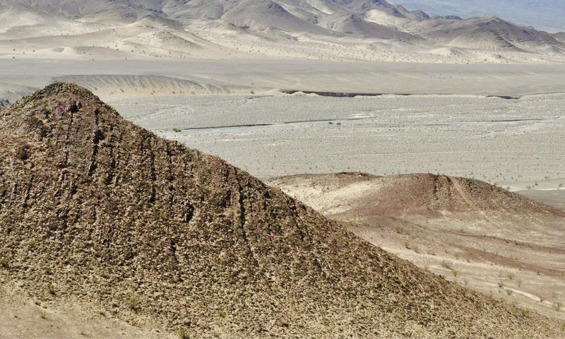 How Life on Our Planet Made It Through Snowball Earth