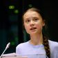Swedish activist Greta Thunberg said that despite "disregarding" science, the EU was hoping its climate plan "will somehow solve the biggest crisis humanity has ever faced"