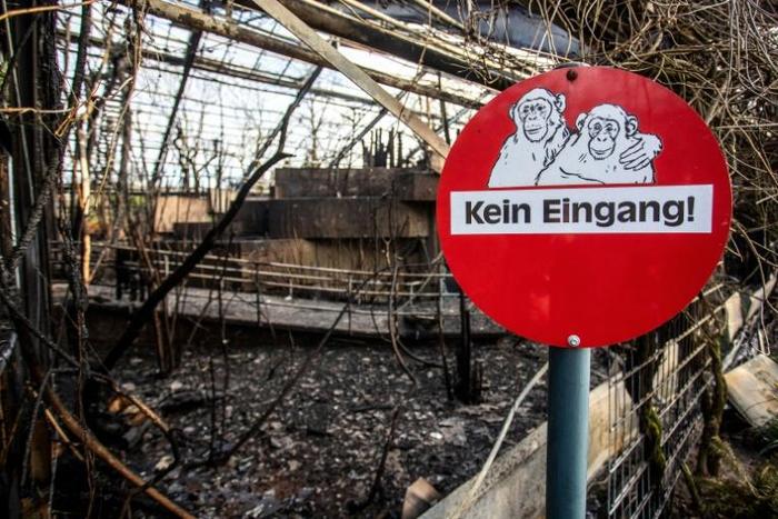 The zoo in Krefeld, western Germany, remains closed after the fire