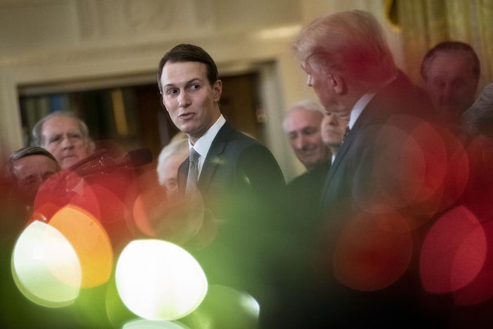 Party of 'Beer and Bluejeans' in Trump Campaign Rhetoric