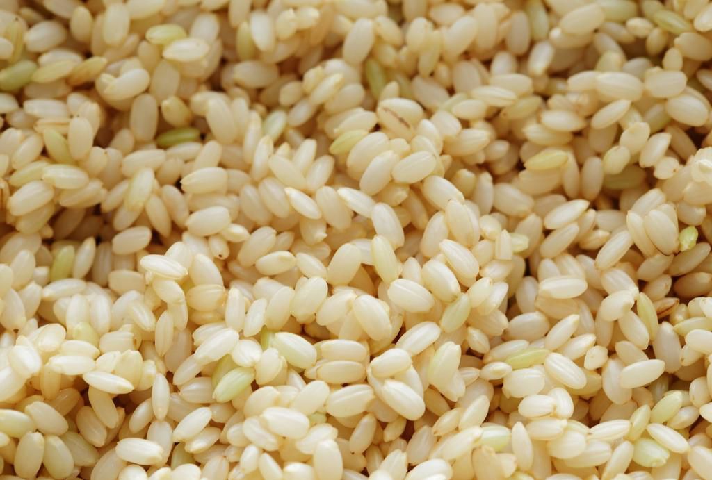 Germinated brown rice,close ups