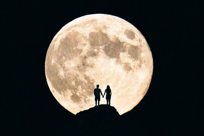 What The Full Moon In Leo Means For Your Sign