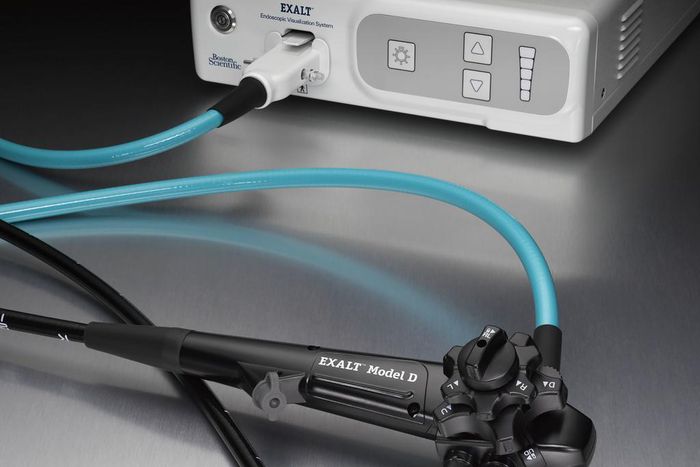 To Prevent Deadly Infections, FDA Approves the First Disposable 'Scope'