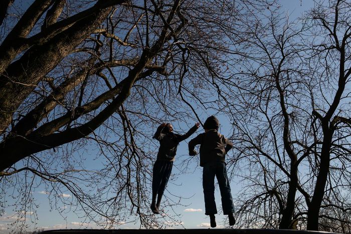 In Ohio, the Amish Take on the Coronavirus