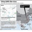 Regional map including China, Japan, Thailand, South Korea, and Wuhan Seafood Market, identified as the centre of a pneumonia outbreak that has sickened dozens and killed four.