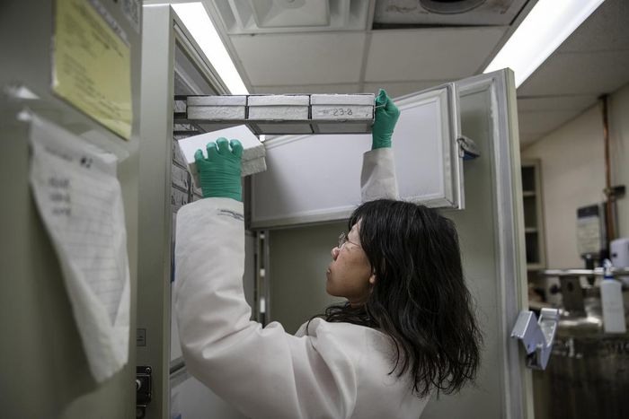 Harsh Steps Are Needed to Stop the Coronavirus, Experts Say