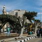 Partially cut-off trees in a street in Heliopolis, in the Egyptian capital Cairo
