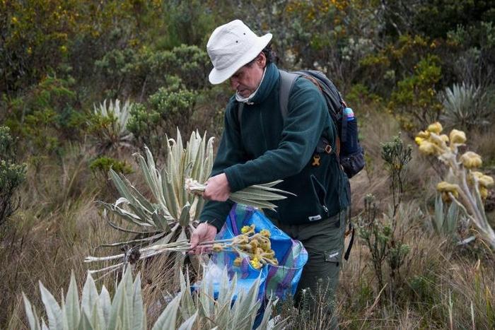 Colombia is second only to Brazil in terms of biodiversity, not just in South America, but the world