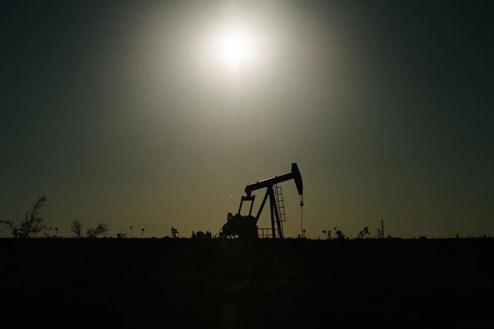 Carbon Dioxide Emissions Hit a Record in 2019, Even as Coal Fades