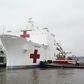 The US navy hospital ship Comfort arrived in New York to boost overwhelmed medical facilities
