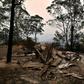 The scale of this year's bushfire devastation has been widely described as unprecedented