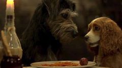 Filming 'Lady & The Tramp' with Real Dogs Was Ruff