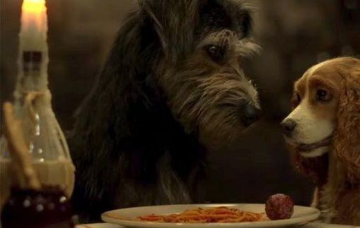 Filming 'Lady & The Tramp' with Real Dogs Was Ruff