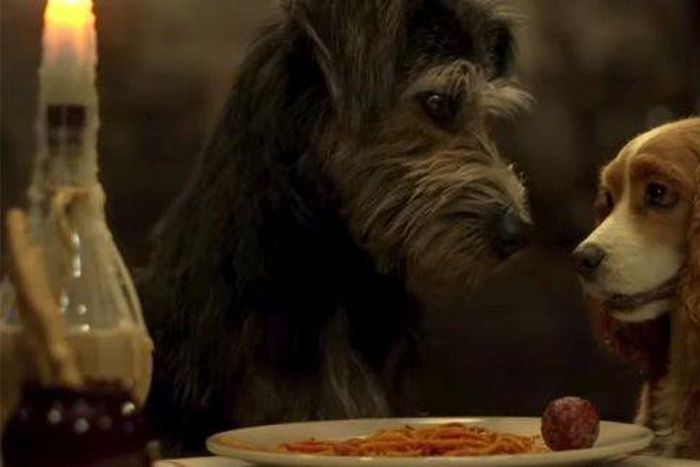 Filming 'Lady & The Tramp' with Real Dogs Was Ruff