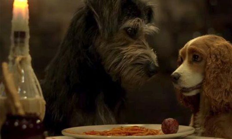 Filming 'Lady & The Tramp' with Real Dogs Was Ruff