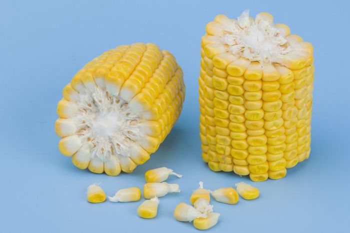 Dr. Pimple Popper Squeezes a 'Corn Kernel' Cyst