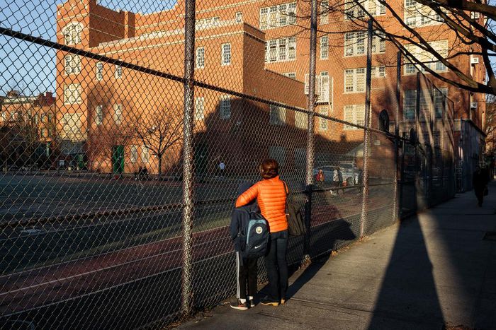 How Delays and Unheeded Warnings Hindered New York's Virus Fight