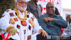 Rawlings and Mahama all smiles