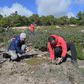 Volunteers  plant trees on the Kesra mountains in Tunisia's Siliana region