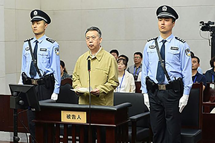 Former Interpol chief Meng Hongwei is among a growing group of Communist Party cadres caught in President Xi Jinping's anti-graft campaign