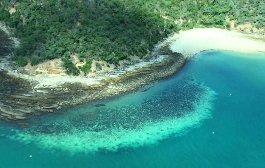 This undated handout photo received on April 6, 2020 from the ARC Centre of Excellence for Coral Reef Studies at James Cook University shows an aerial survey of coral bleaching on the Great Barrier Reef
