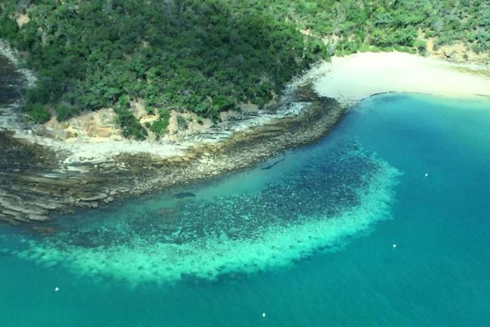 This undated handout photo received on April 6, 2020 from the ARC Centre of Excellence for Coral Reef Studies at James Cook University shows an aerial survey of coral bleaching on the Great Barrier Reef