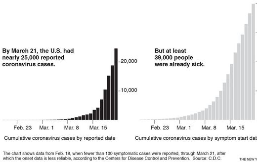A Month of Coronavirus in New York City: No Neighborhood Is Spared