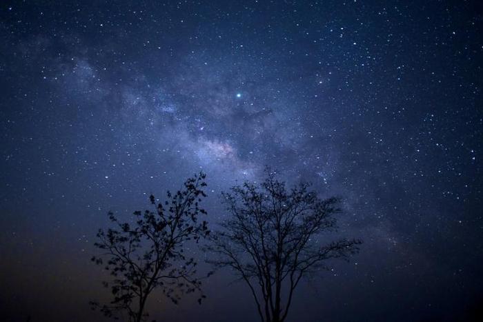 The Milky Way is estimated to contain 100 million stellar black holes, but LB-1 is twice as massive as anything scientists thought possible, researchers say