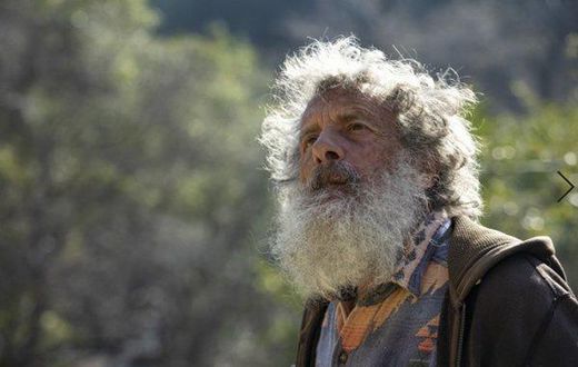 Meet the scientist who’s been counting California butterflies for 47 years