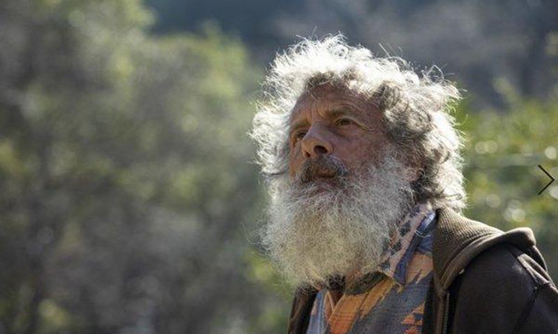 Meet the scientist who’s been counting California butterflies for 47 years