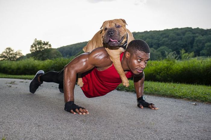 7 Exercises to Get Swole With Your Dog