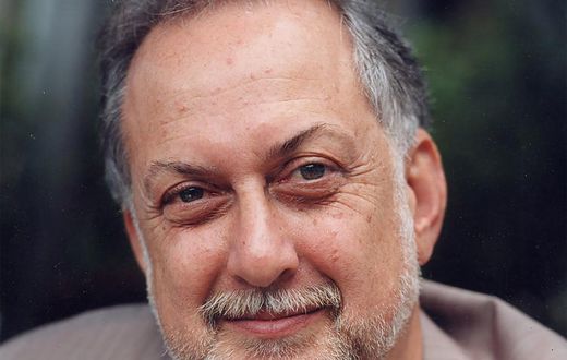 Michael Sorkin, 71, Dies; Saw Architecture as a Vehicle for Change
