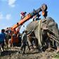 The elephant was tracked for days by forestry officers and tranquilised after a deadly rampage killed five villagers