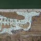 China environmentalists created a 68-metre long whale formed by plastic waste collected from the ocean in June 2019 to draw attention to the problem
