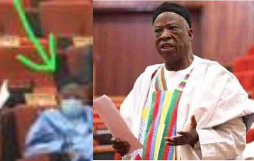 Lawmakers run for cover as MP removes his facemask and sneezes loudly (video)
