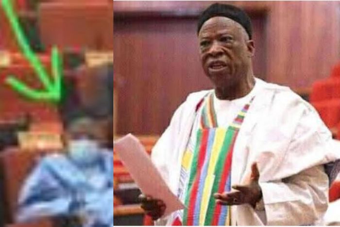 Lawmakers run for cover as MP removes his facemask and sneezes loudly (video)