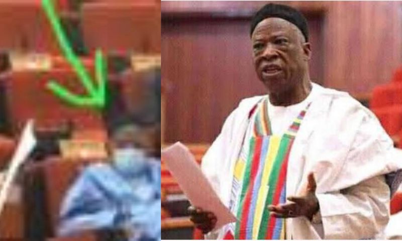 Lawmakers run for cover as MP removes his facemask and sneezes loudly (video)