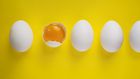 Dr. Pimple Popper Pops an 'Egg Yolk' Lipoma