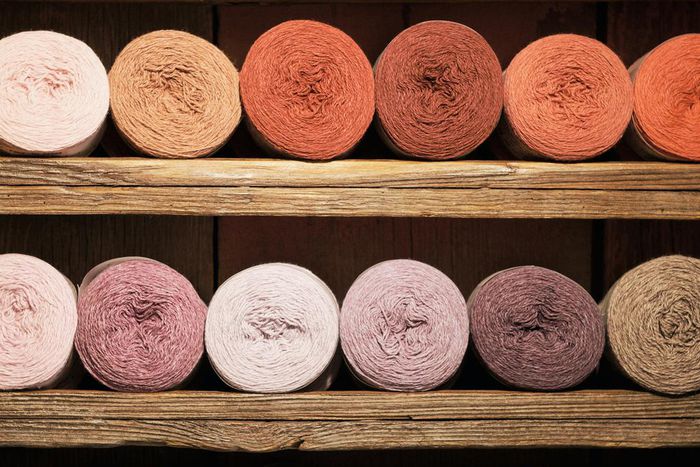 Knitters Chronicle Climate Change One Stitch at a Time