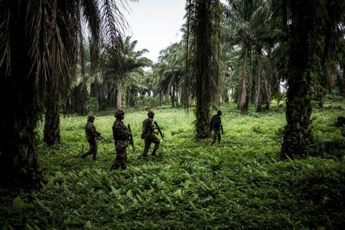 Troops from the UN's stabilisation force in the region began working with DR Congo forces against the militia in late October