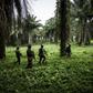 Troops from the UN's stabilisation force in the region began working with DR Congo forces against the militia in late October