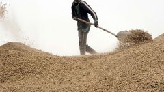 Sales to China are great, but local buyers suffer