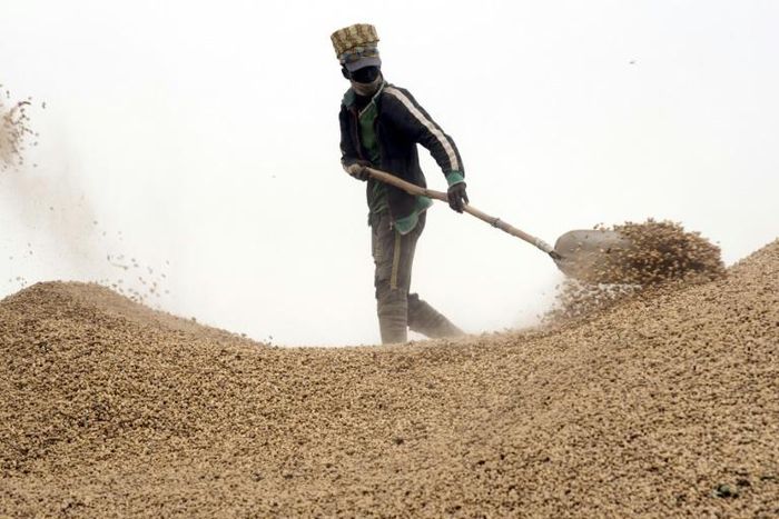 Sales to China are great, but local buyers suffer