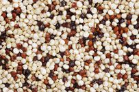 The 12 Healthiest Whole Grains To Eat, According To Nutritionists