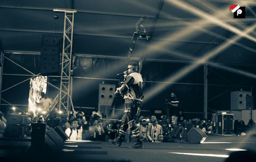 2019 Rapperholic Review: Sarkodie learnt from his mistakes and needs the applause for a great show