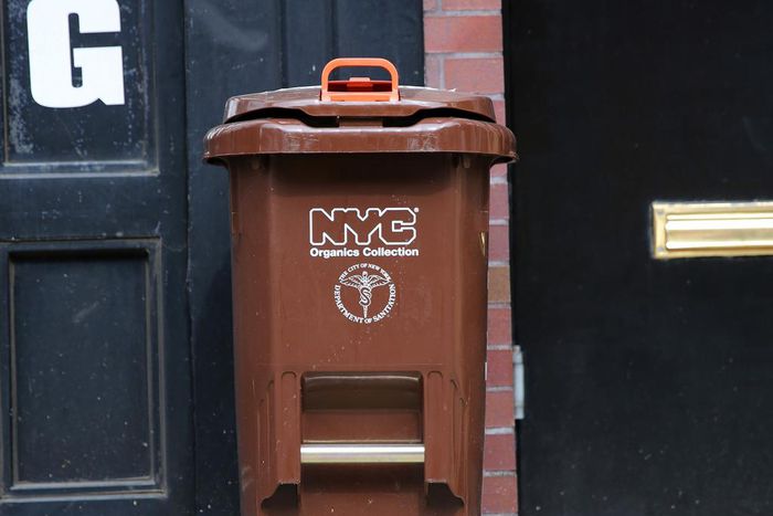 Mandatory Composting in New York? It Could Happen